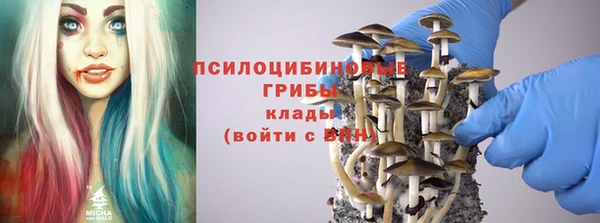 прущие грибы Белоозёрский