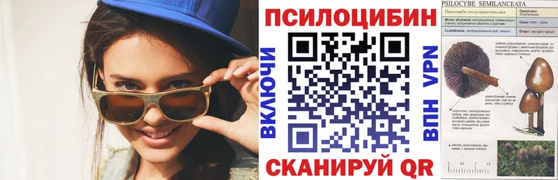 продажа наркотиков  Окуловка  Псилоцибиновые грибы Magic Shrooms 